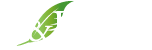 G&R System
